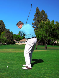 Joint Replacement Tampa